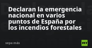 Declaran la emergencia nacional en varios puntos de España por los incendios forestales