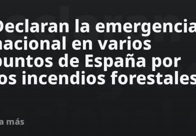 Declaran la emergencia nacional en varios puntos de España por los incendios forestales
