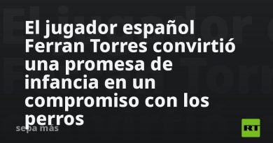 El jugador español Ferran Torres convirtió una promesa de infancia en un compromiso con los perros