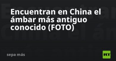 Encuentran en China el ámbar más antiguo conocido (FOTO)