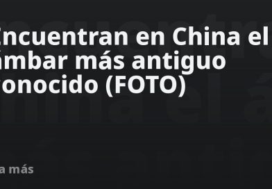 Encuentran en China el ámbar más antiguo conocido (FOTO)