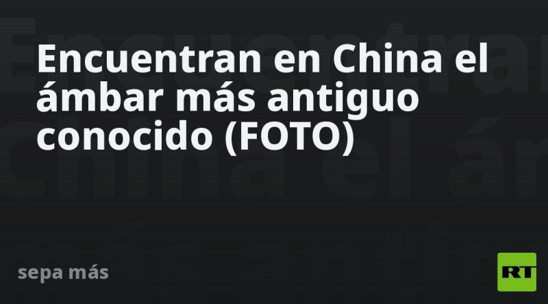 Encuentran en China el ámbar más antiguo conocido (FOTO)