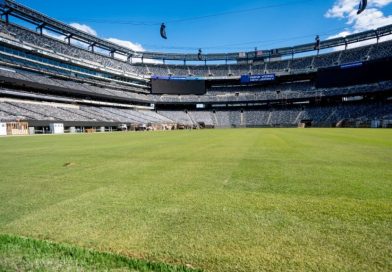 MetLife Stadium - césped - Mundial 2026