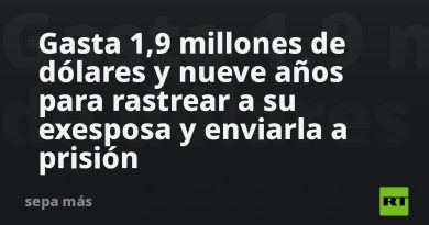 Gasta 1,9 millones de dólares y nueve años para rastrear a su exesposa y enviarla a prisión