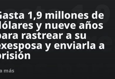 Gasta 1,9 millones de dólares y nueve años para rastrear a su exesposa y enviarla a prisión