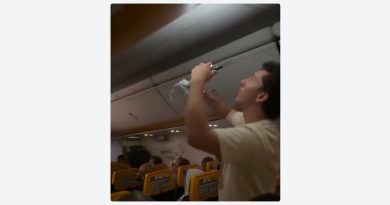 Inusual invasión retrasa vuelo de avión de pasajeros (VIDEO)