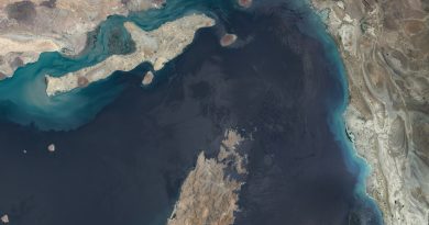 Irán acusa a EE.UU. de ejercer presión sobre Omán y provocar el fracaso de un acuerdo sobre Ormuz