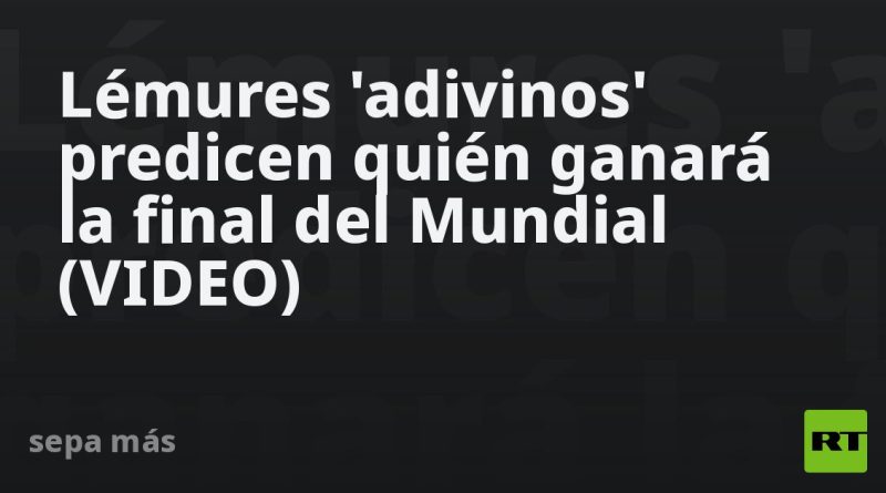 Lémures 'adivinos' predicen quién ganará la final del Mundial (VIDEO)