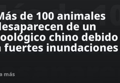 Más de 100 animales desaparecen de un zoológico chino debido a fuertes inundaciones