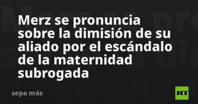Merz se pronuncia sobre la dimisión de su aliado por el escándalo de la maternidad subrogada