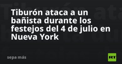 Tiburón ataca a un bañista durante los festejos del 4 de julio en Nueva York