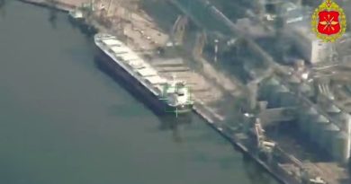 VIDEO: Drones rusos golpean tres graneleros 'pantalla' en un puerto del sur de Ucrania