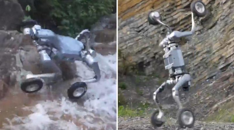 VIDEO: Este robot-atleta chino es capaz de correr por rocas a 30 km/h