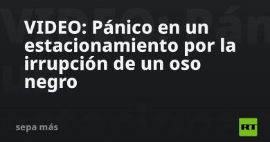 VIDEO: Pánico en un estacionamiento por la irrupción de un oso negro