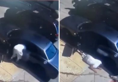 VIDEO SENSIBLE: Balean a un hombre en su auto a plena luz del día