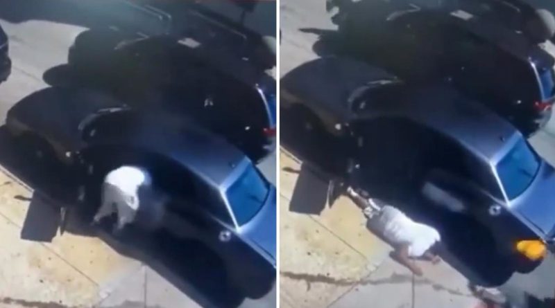 VIDEO SENSIBLE: Balean a un hombre en su auto a plena luz del día