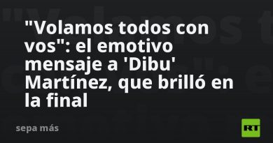 "Volamos todos con vos": el emotivo mensaje a 'Dibu' Martínez, que brilló en la final