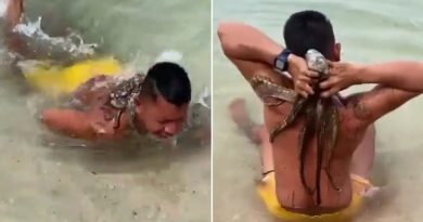 VIDEO: Va a nadar y regresa con un 'pasajero' inesperado en la espalda