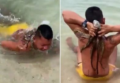 VIDEO: Va a nadar y regresa con un 'pasajero' inesperado en la espalda