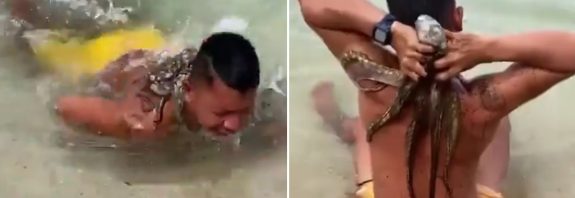 VIDEO: Va a nadar y regresa con un 'pasajero' inesperado en la espalda