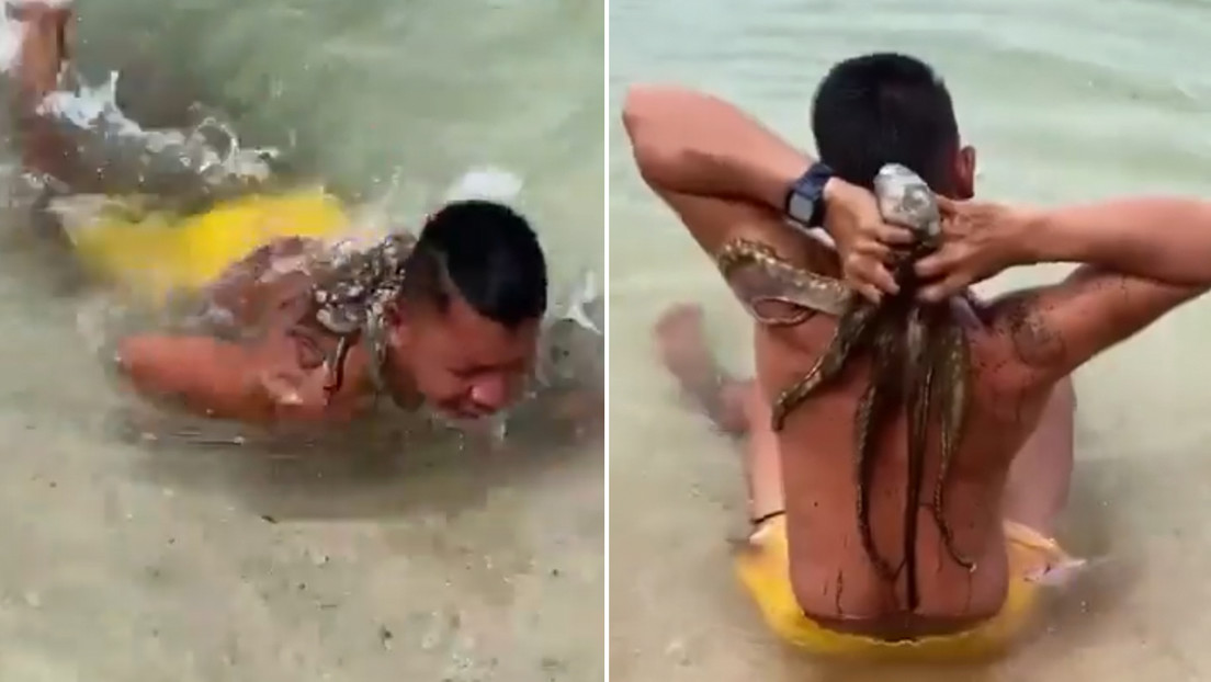 VIDEO: Va a nadar y regresa con un 'pasajero' inesperado en la espalda