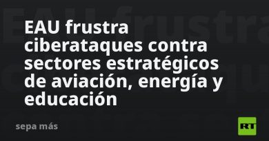 EAU frustra ciberataques contra sectores estratégicos de aviación, energía y educación