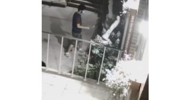 VIDEO: Hombre destruye a martillazos una estatua de la Virgen María