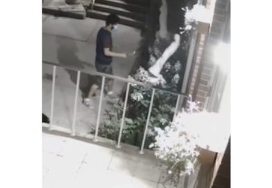 VIDEO: Hombre destruye a martillazos una estatua de la Virgen María