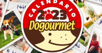 Calendario Dogourmet 2023 fue lanzado en versión digital - FOTO