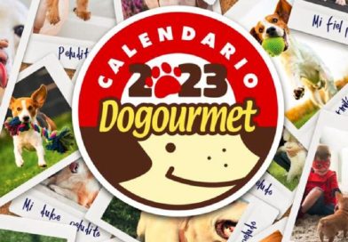 Calendario Dogourmet 2023 fue lanzado en versión digital - FOTO