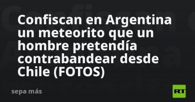 Confiscan en Argentina un meteorito que un hombre pretendía contrabandear desde Chile (FOTOS)