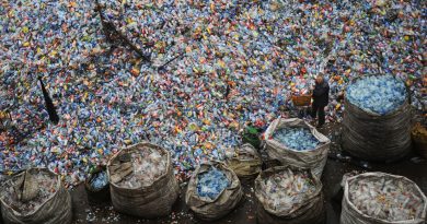 El consumo de plásticos podría duplicarse para 2050