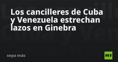 Los cancilleres de Cuba y Venezuela estrechan lazos en Ginebra