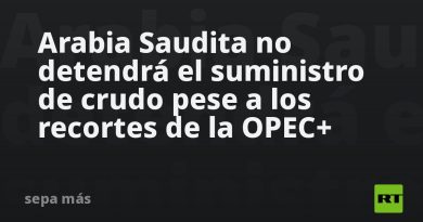 Arabia Saudita no detendrá el suministro de crudo pese a los recortes de la OPEC+