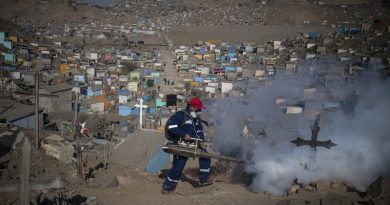 Dengue y chikungunya: Sudamérica en alerta ante el riesgo de una nueva epidemia