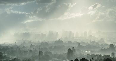 Fundación Yammine - Contaminación del aire; Causas y consecuencias - FOTO