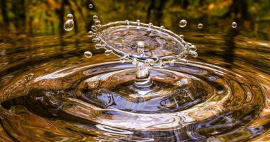 Gestión adecuada del agua – Fundación Yammine