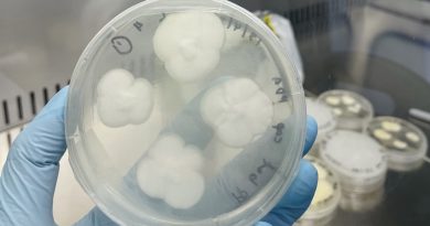 Logran degradar uno de los plásticos más resistentes usando hongos comunes
