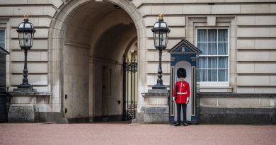 VIDEO: Un guardia real británico le grita en la cara a una turista que quería fotografiarse con él