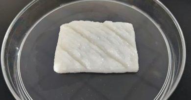 Científicos chinos cultivan los primeros filetes de pescado impresos en 3D