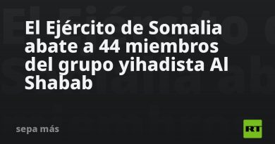 El Ejército de Somalia abate a 44 miembros del grupo yihadista Al Shabab