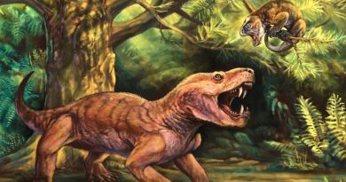 El primer depredador con dientes de sable se trasladó de Rusia a Sudáfrica hace 252 millones de años