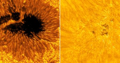 El telescopio solar terrestre más poderoso del mundo obtiene imágenes nunca antes vistas del Sol (FOTOS)