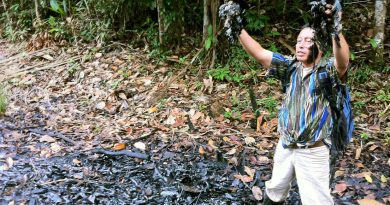 Hallan altos niveles de metales en la orina de indígenas peruanos que viven cerca de zonas petroleras