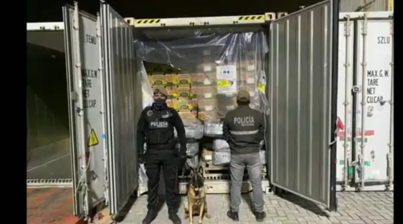 Incautan más de 2 toneladas de cocaína ocultas entre bananos en Ecuador