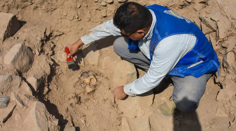 Encuentran momia de más de 3.000 años de antigüedad en un sitio arqueológico de Perú