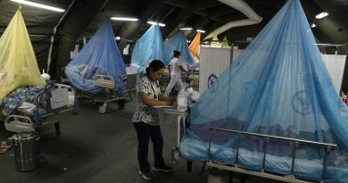 Más de 200 muertos: la cuestionada gestión del brote de dengue agrava la crisis política en Perú