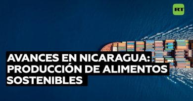 Nicaragua cosecha los resultados de su política agropecuaria dirigida al desarrollo del sector