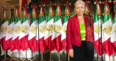 "No me voy a sentar": embajadora de México reacciona molesta en sesión sobre presupuestos de la OEA