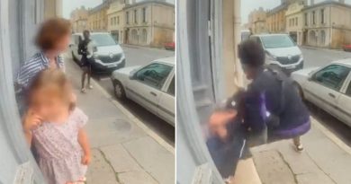VIDEO: Un ladrón agrede brutalmente a una abuela y a su nieta en Francia